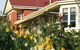 Alexandria Bed & Breakfast - thumb 1