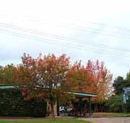 Allambie Motel Pty Ltd - Tourism Guide