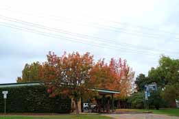 Allambie Motel Pty Ltd - Travel Agents 0