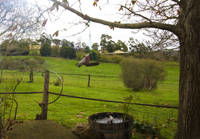 Amble Fern Studio - Tourism Guide 1