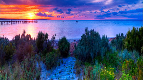 Marion Bay Caravan Park - Tourism Guide 1