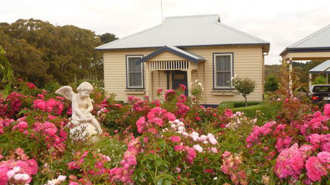 Amor Of Red Hill - Tourism Guide 0