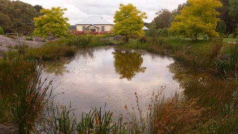 Amor Of Red Hill - Tourism Guide 4