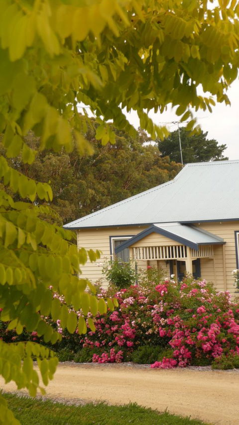 Amor Of Red Hill - Tourism Guide 5