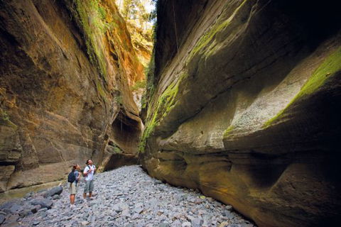 Carnarvon National Park Camping - Tourism Guide 4