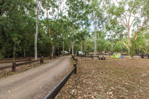 Carnarvon National Park Camping - Tourism Guide 1