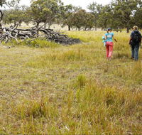 Carnarvon National Park camping - Tourism Guide