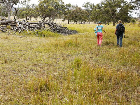 Carnarvon National Park Camping - Tourism Guide 0