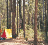 Nanga Mill Camp at Lane Poole Reserve - Tourism Guide