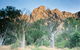 Windjana Gorge Camp At Windjana Gorge National Park - thumb 1