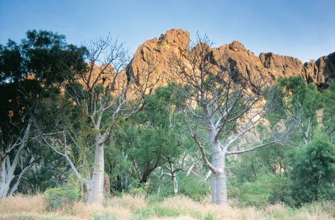 Windjana Gorge Camp At Windjana Gorge National Park - Tourism Guide 1