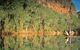 Windjana Gorge Camp At Windjana Gorge National Park - thumb 2