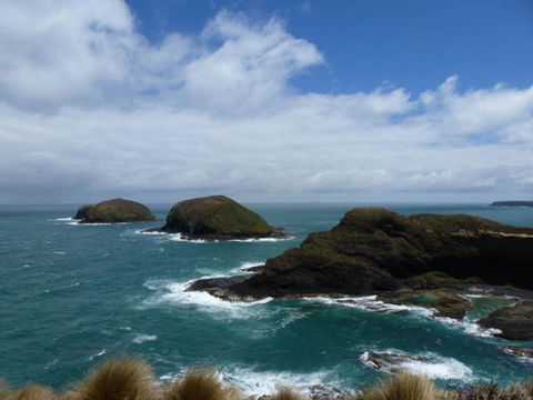 Arties Cottage Accommodation - Tourism Guide 9