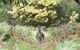 Alkina Lodge - thumb 6