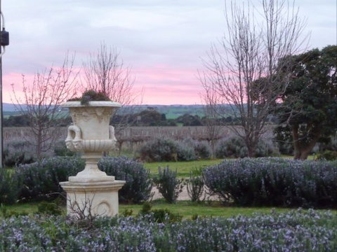 Angas Plains Wines Suites - Travel Agents 3