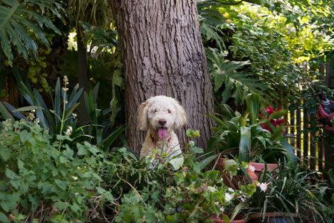 An Oasis In The City - Travel Agents 5