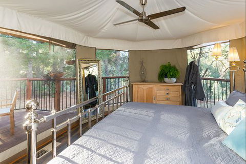 Beechworth Wildlife Stays - Travel Search 1