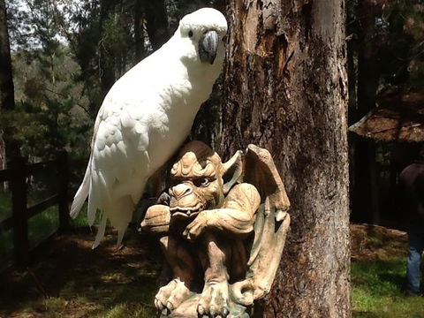 Beechworth Wildlife Stays - Travel Search 9