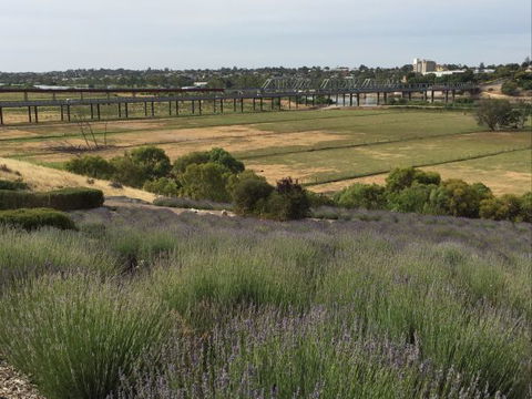 Brayfield Cottage - Tourism Guide 1
