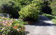 Brown's House Bed & Breakfast - thumb 3