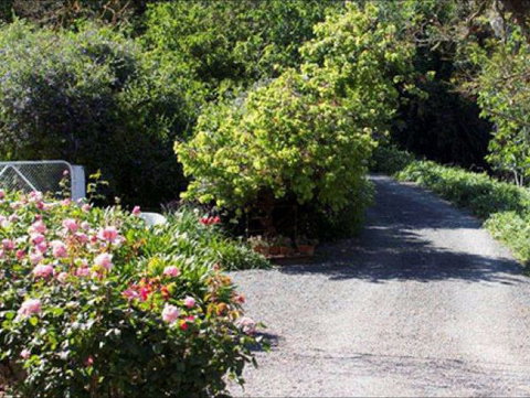 Brown's House Bed & Breakfast - Tourism Guide 3