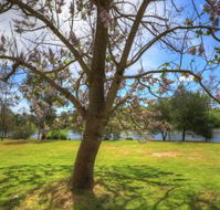 Breakaway Twin Rivers Caravan Park - Cruises Travel