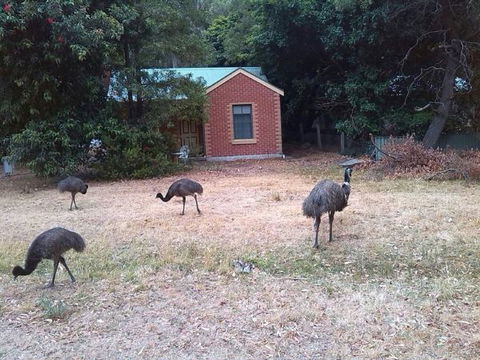 Boronia Peak Villas - Tourism Guide 5