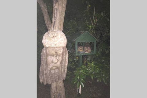 Kookaburra Retreat - Tourism Guide 9