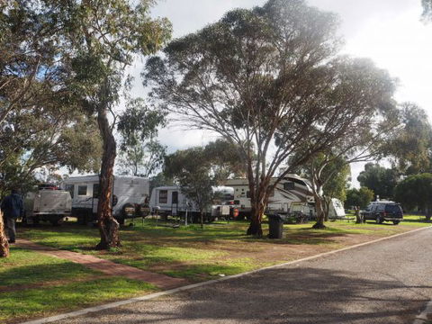Murray Bridge Marina Camping And Caravan Park - Tourism Guide 4