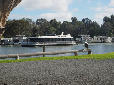 Murray Bridge Marina Camping And Caravan Park - Tourism Guide 6