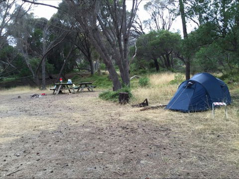Allports Beach Camping Ground - Tourism Guide 0