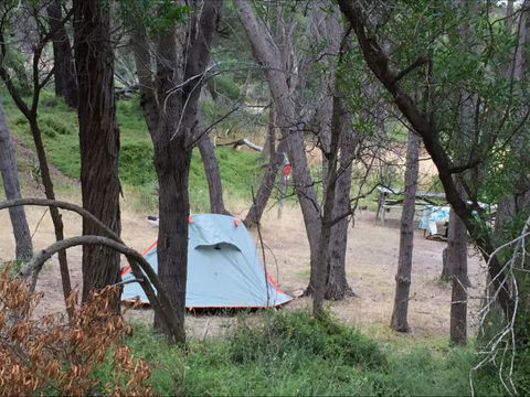Allports Beach Camping Ground - Tourism Guide 5