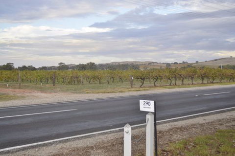 Almond Tree Cottage - Tourism Guide 5