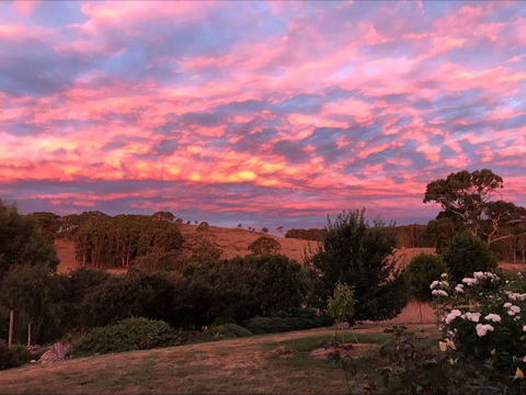 Avaleigh Elms Farmstay - Tourism Guide 5