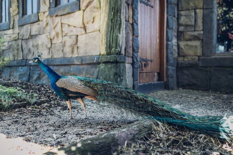 Castle Suites - Kryal Castle - Travel Agents 5