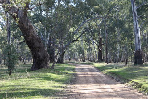 Hughes Park Cottage & Weddings - Tourism Guide 2