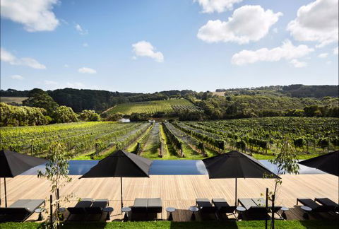 Jackalope Mornington Peninsula - Tourism Guide 4