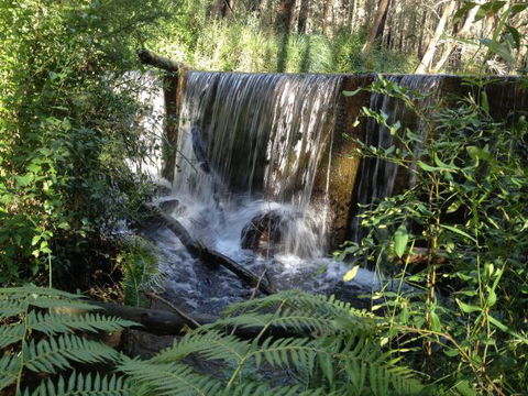 Kinglake Forest Adventures Camp - Cruises Travel 1