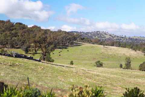 Longview Holiday Let Glenrowan - Tourism Guide 5