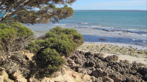Wallaby Beach House - Tourism Guide 5