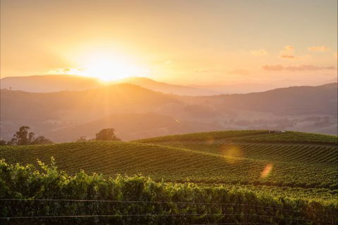 Mt Bellevue Lodge - King Valley - Tourism Guide 1