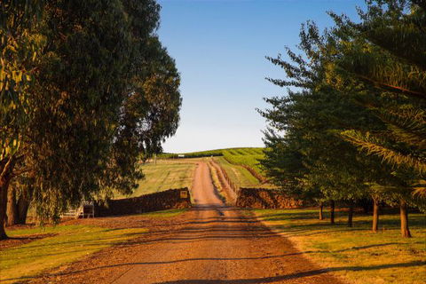 Mt Bellevue Lodge - King Valley - Tourism Guide 3