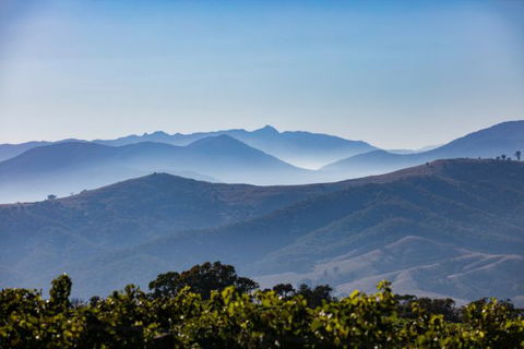 Mt Bellevue Lodge - King Valley - Tourism Guide 4