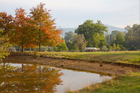 Riverdowns - Tourism Guide 9