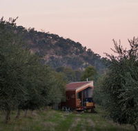 Shacky in the Olive Grove - Tourism Guide