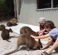 The Patriarch Wildlife Sanctuary Camping Ground