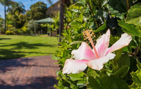 Tuscany Apartments - Travel Agents 6