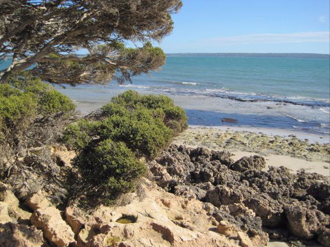 Wallaby Beach House - Tourism Guide 0
