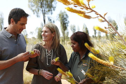 Ayers Rock Campground - Tourism Guide 2