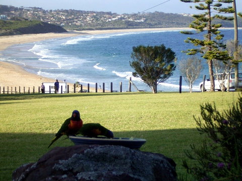 Beach Cabins Merimbula - Travel Agents 5